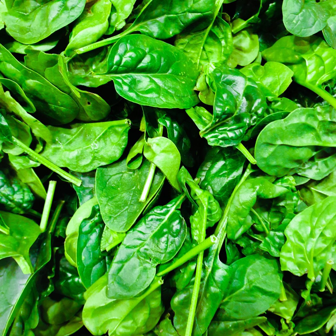Verduras